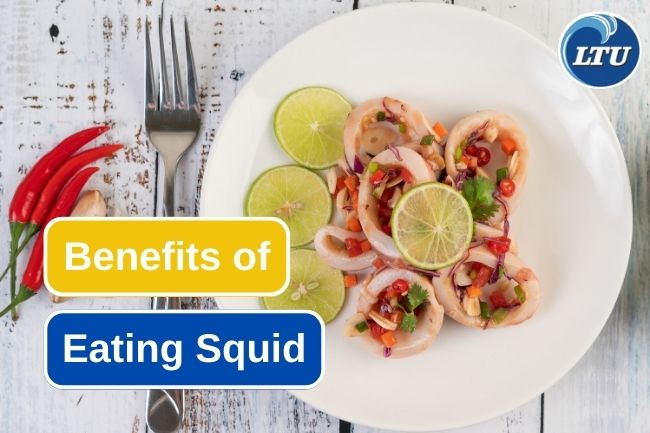 5 Health Benefits You Get From Squid